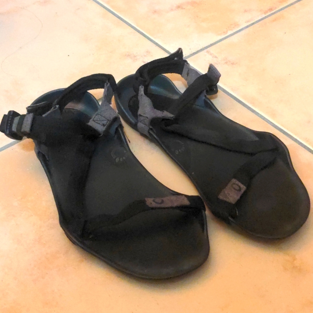 Xero Shoes Sandal Z-Trek